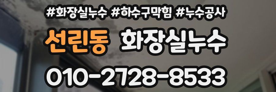 선린동 누수탐지