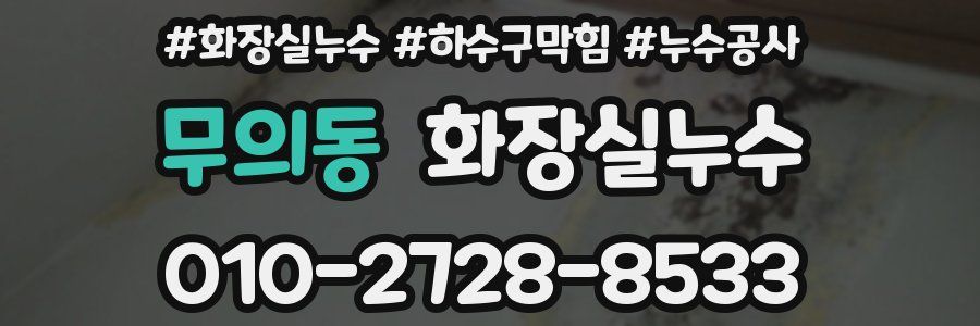 무의동 누수탐지