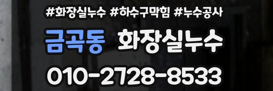 금곡동 누수탐지