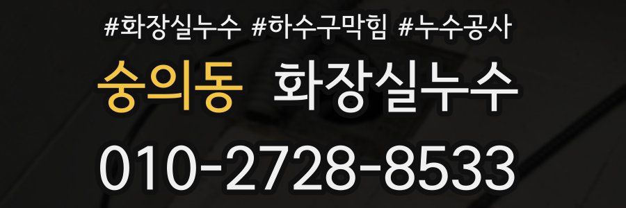 숭의동 누수탐지