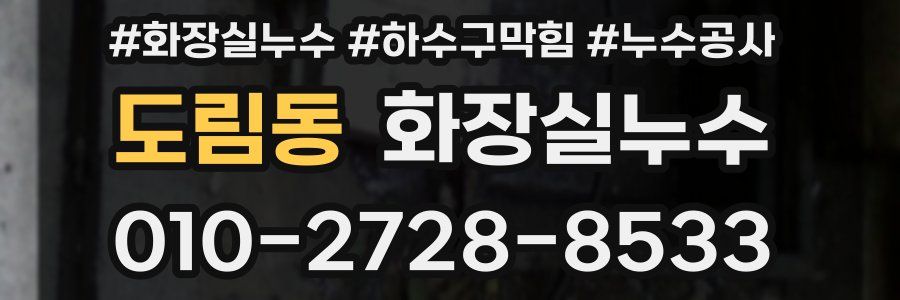 도림동 누수탐지