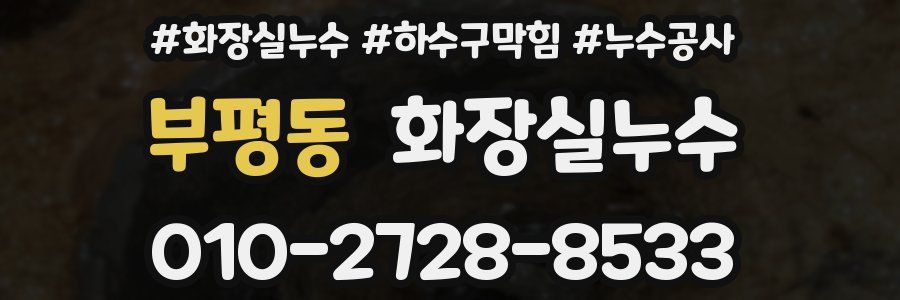 부평동 누수탐지