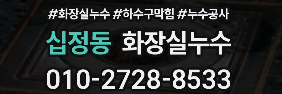 십정동 누수탐지