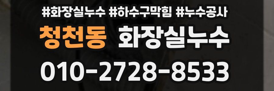 청천동 누수탐지