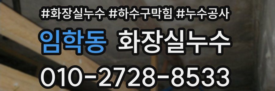임학동 누수탐지