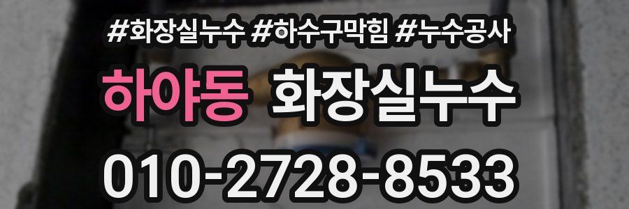 하야동 누수탐지