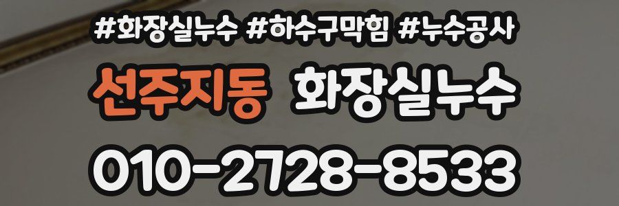 선주지동 누수탐지