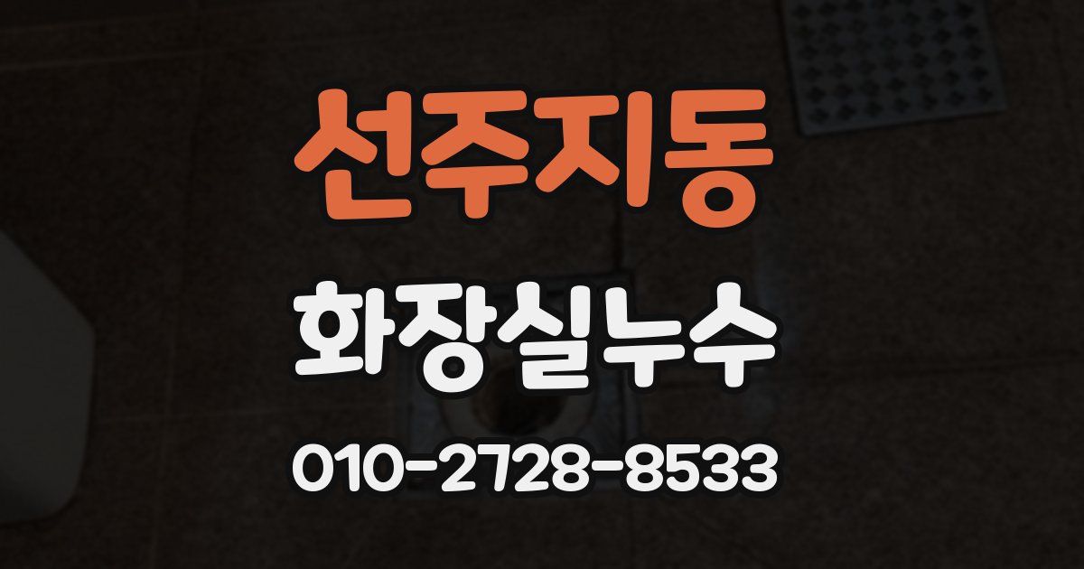 선주지동 누수업체