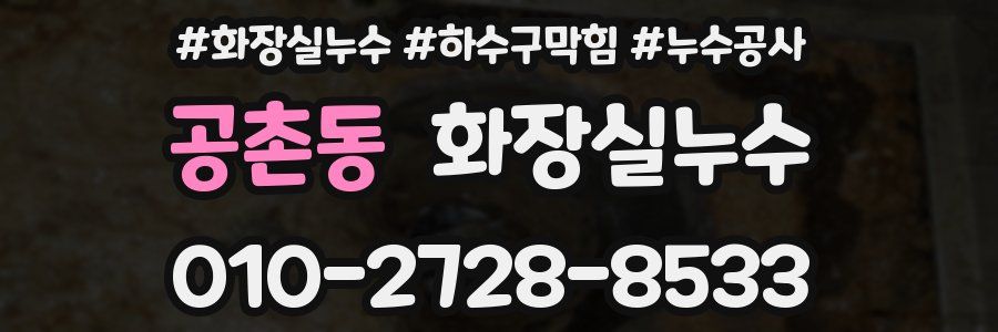 공촌동 누수탐지