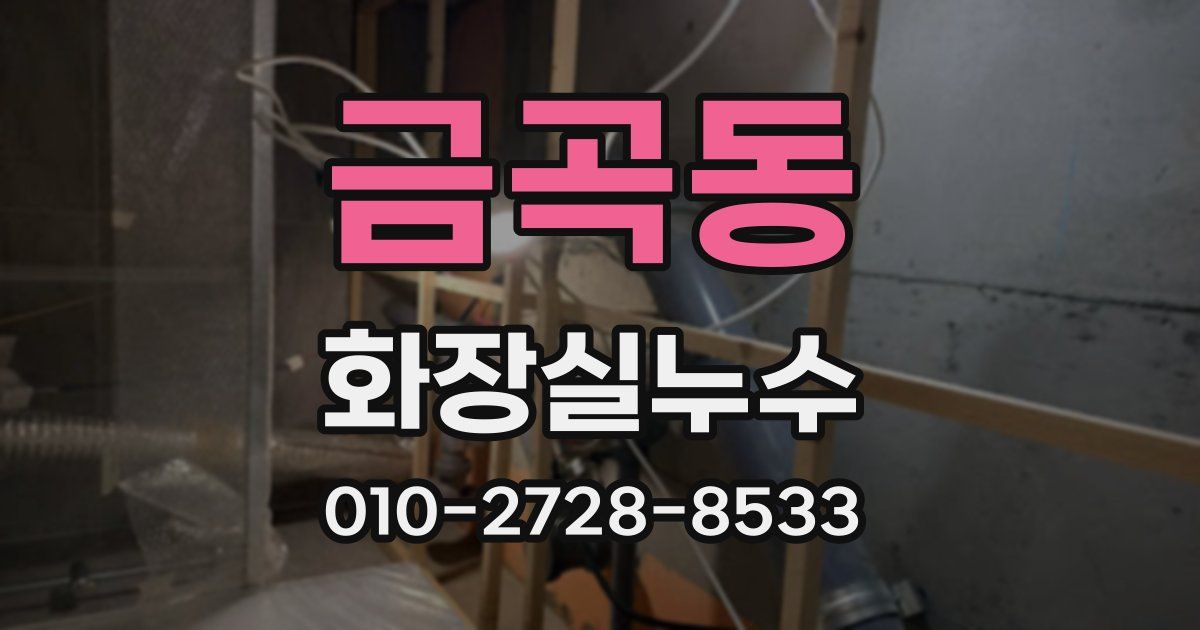 금곡동 누수업체