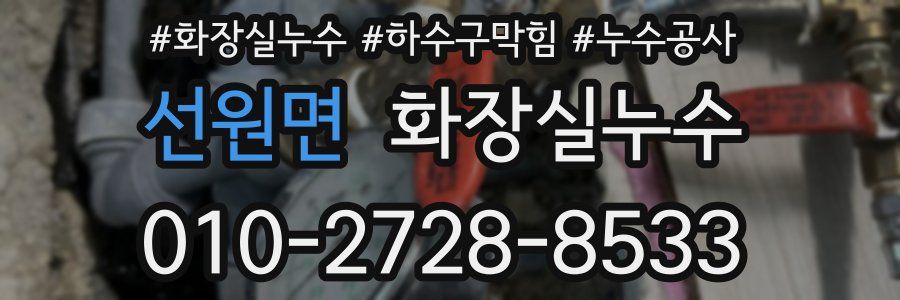 선원면 누수탐지