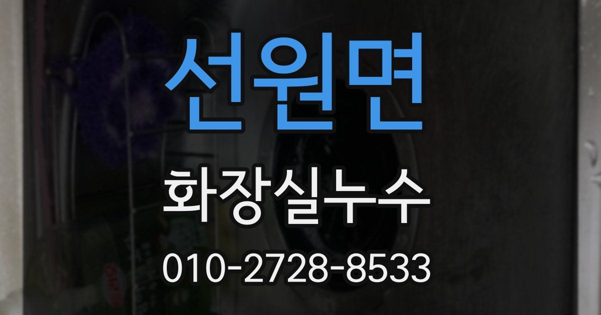 선원면 누수업체