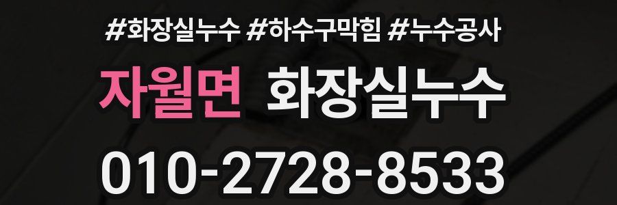 자월면 누수탐지
