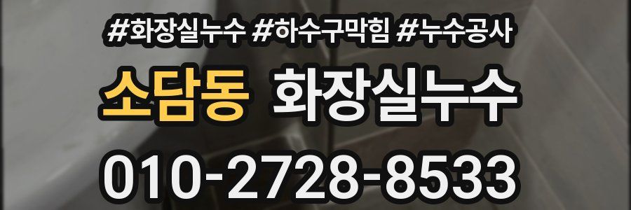 소담동 누수탐지