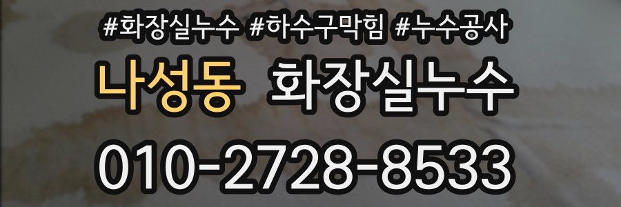 나성동 누수탐지