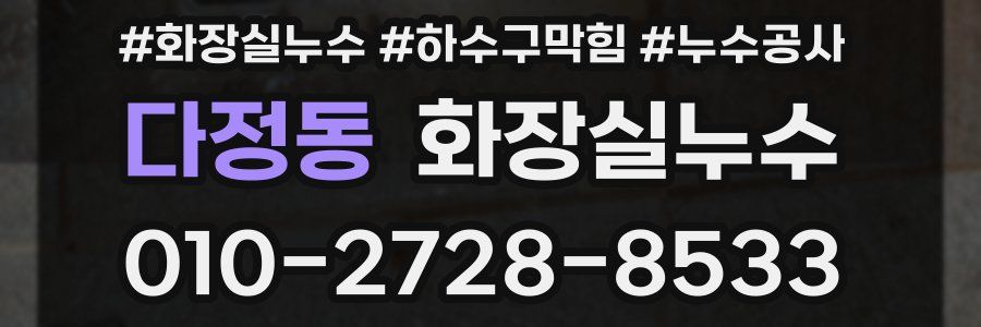 다정동 누수탐지
