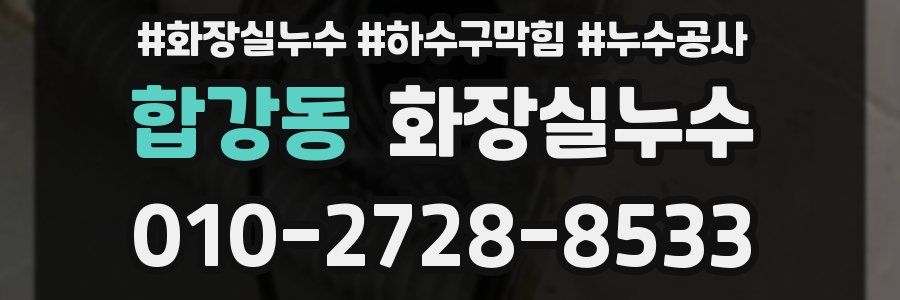 합강동 누수탐지