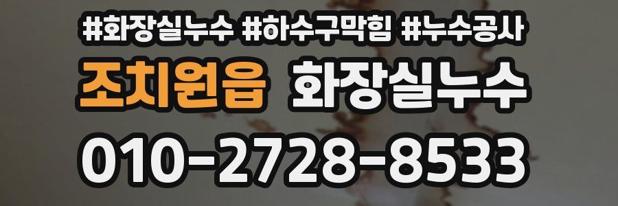 조치원읍 누수탐지