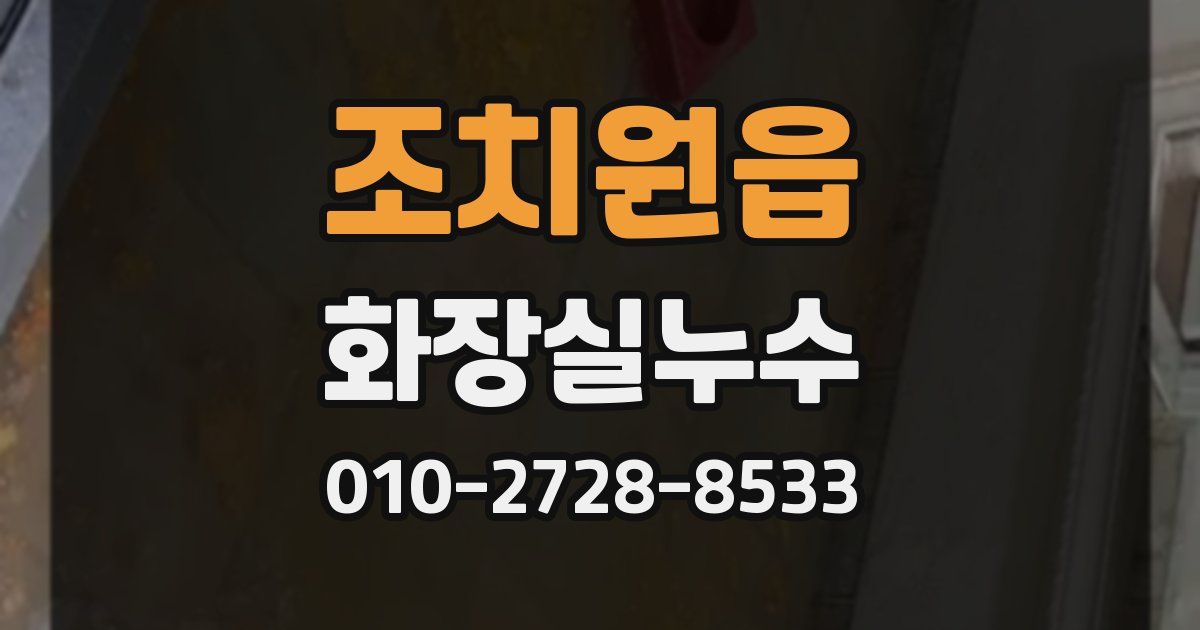 조치원읍 누수업체