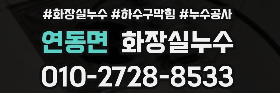 연동면 누수탐지