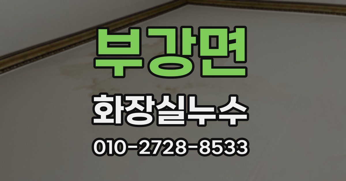 부강면 누수업체