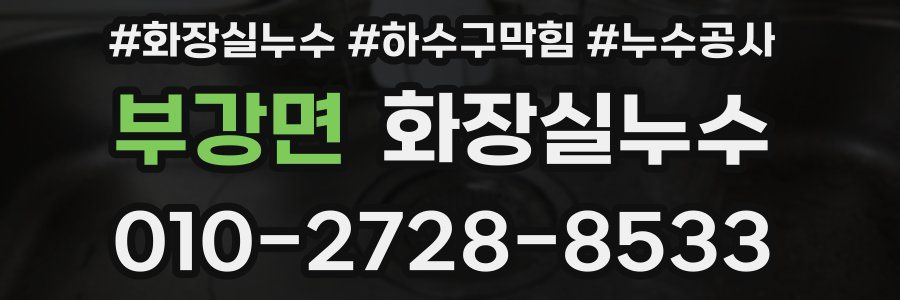 부강면 누수탐지