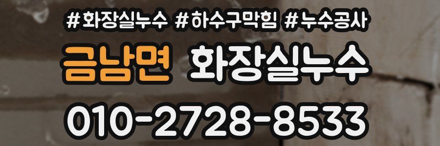 금남면 누수탐지