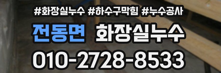 전동면 누수탐지