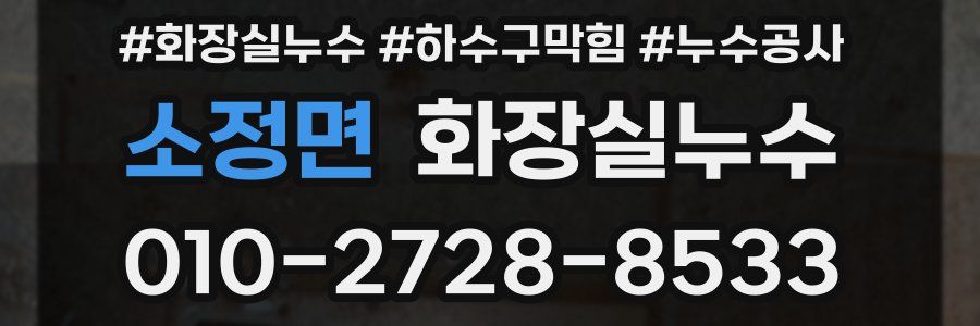 소정면 누수탐지