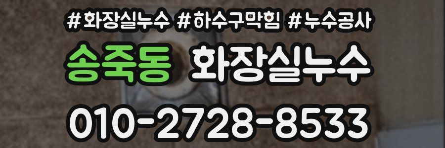 송죽동 누수탐지