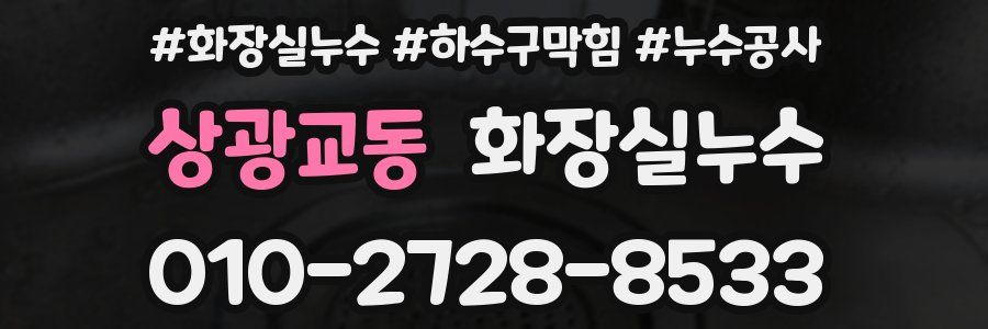 상광교동 누수탐지
