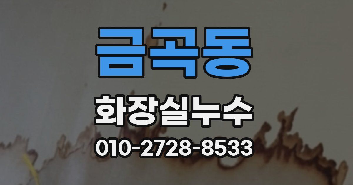 금곡동 누수업체
