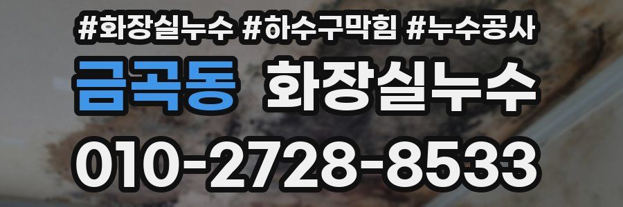 금곡동 누수탐지