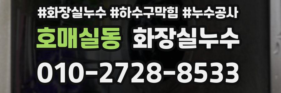호매실동 누수탐지