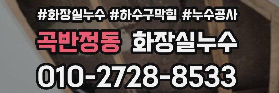 곡반정동 누수탐지