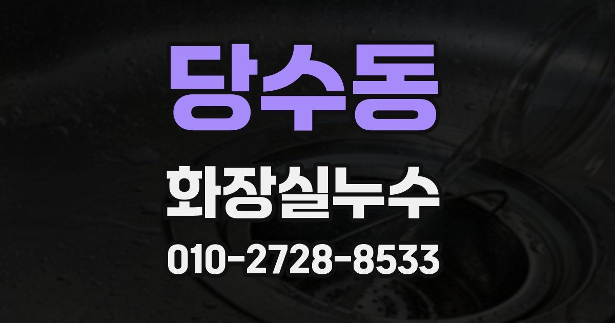 당수동 누수업체