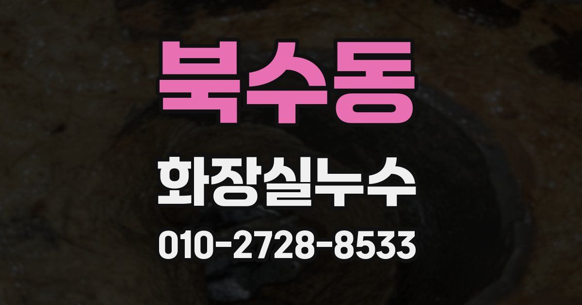 북수동 누수업체