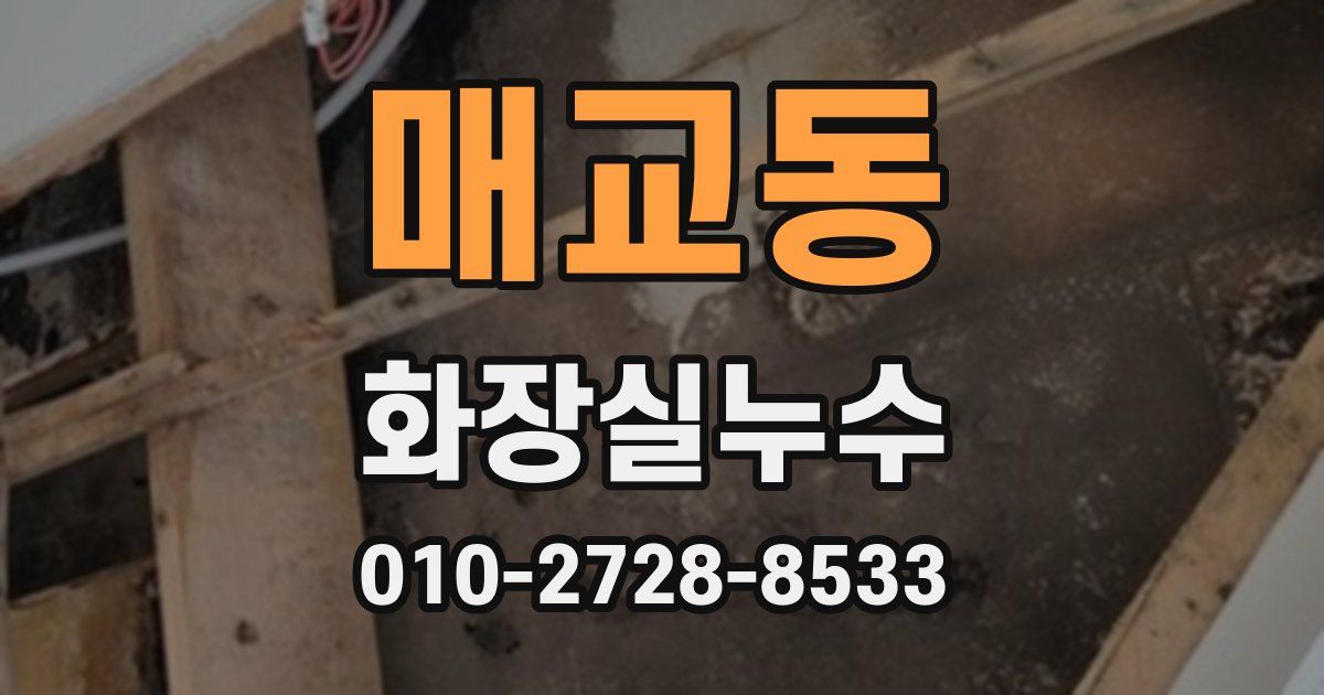 매교동 누수업체