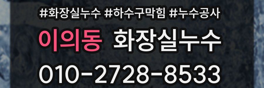이의동 누수탐지