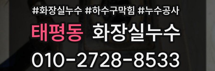 태평동 누수탐지