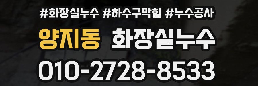 양지동 누수탐지