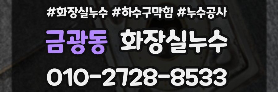 금광동 누수탐지