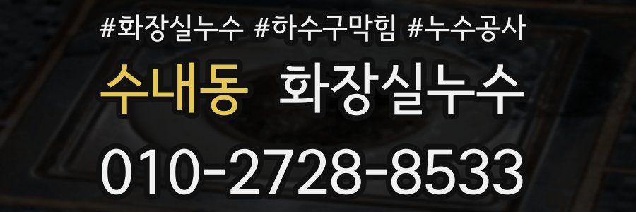 수내동 누수탐지
