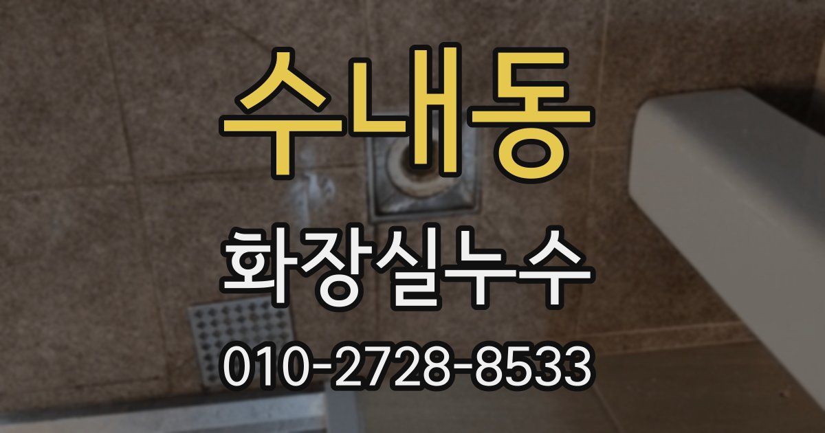 수내동 누수업체