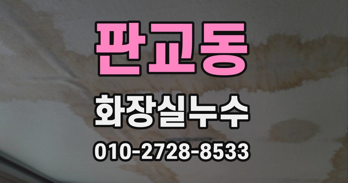 판교동 누수업체