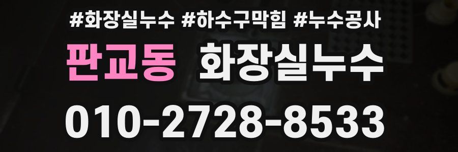 판교동 누수탐지