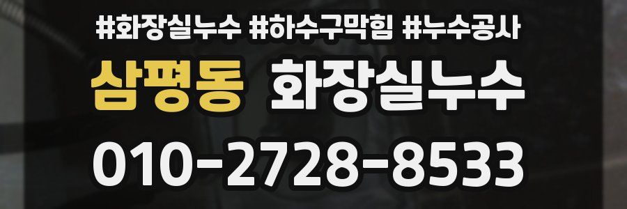 삼평동 누수탐지