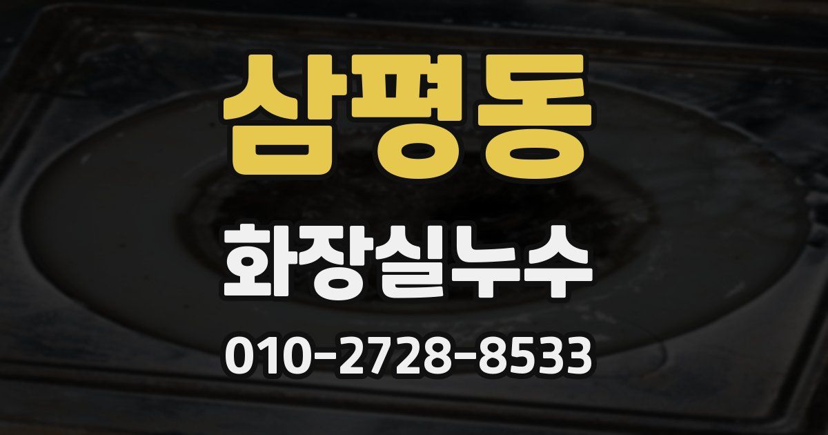 삼평동 누수업체
