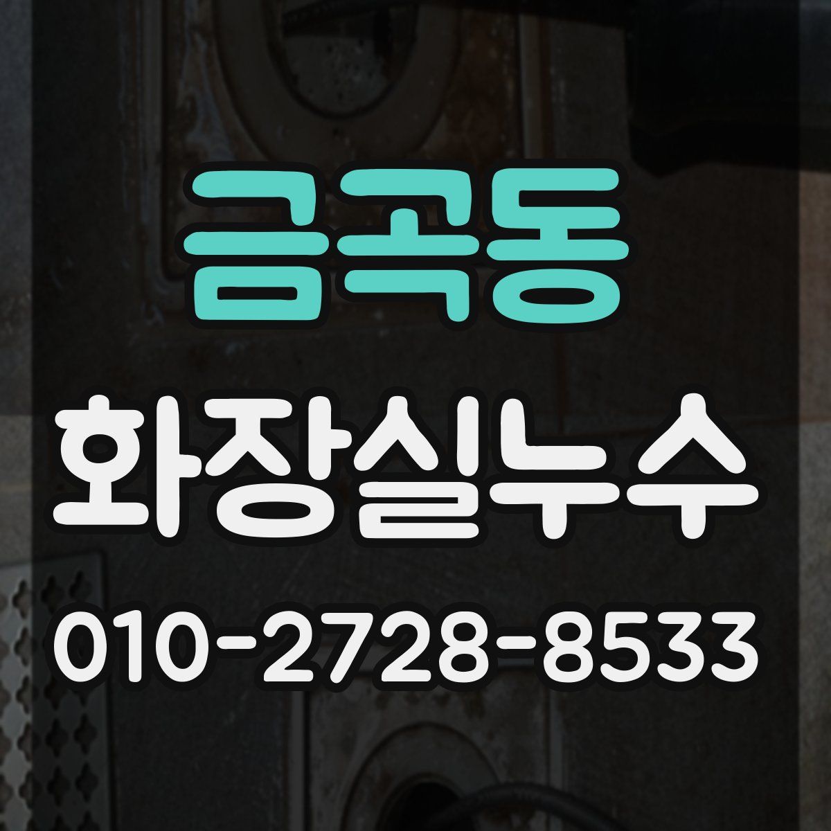 금곡동 화장실누수탐지