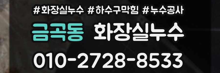 금곡동 누수탐지